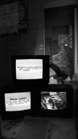 http://www.lalaia.net/files/gimgs/th-118_installacio.jpg